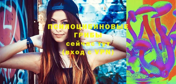 стаф Алексеевка