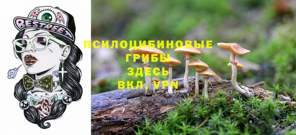 ALPHA-PVP Алексин