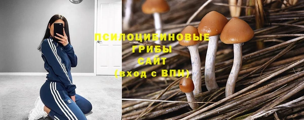 стаф Алексеевка