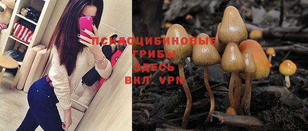 стаф Алексеевка