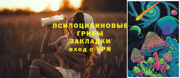 стаф Алексеевка