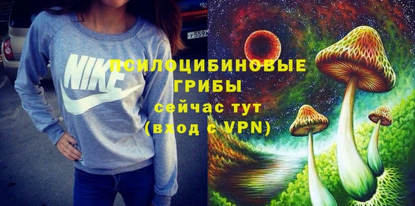 стаф Алексеевка