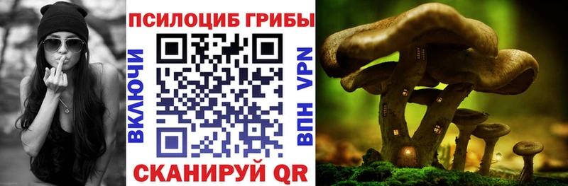 kraken как зайти  купить наркотик  Звенигово  Галлюциногенные грибы мухоморы 