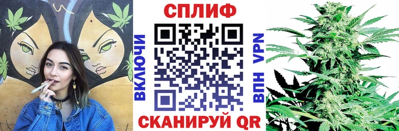 Конопля SATIVA & INDICA  купить закладку  Звенигово 